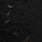 Previous image