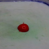 Previous image