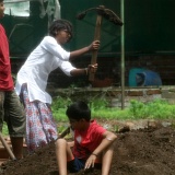 Previous image