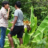 Previous image