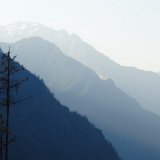 Previous image