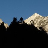 Previous image