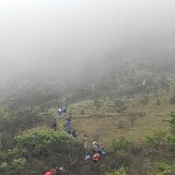 Next image