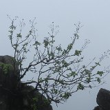 Next image