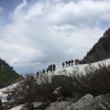 IMG 9232