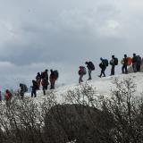 IMG 9234