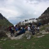 IMG 9237