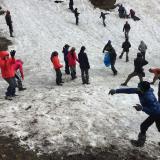 IMG 9335