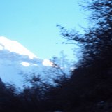 Previous image