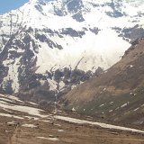 Previous image