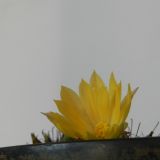 DSCN0591