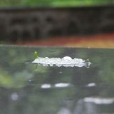 DSCN1148