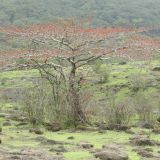 DSCN0751