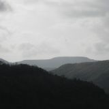 DSCN0629