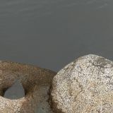 DSCN0552