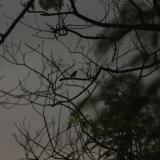 IMG 7762
