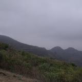 DSCF5255