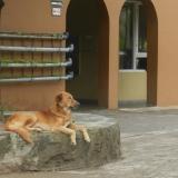 DSCN0623