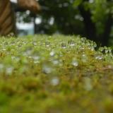 DSCN9773