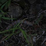 IMG 8078