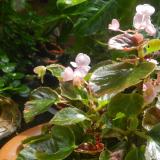 DSCN0040