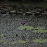IMG 8095