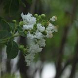 IMG 7841