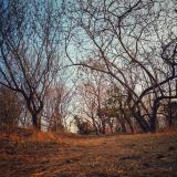 IMG 20190123 175352-01